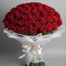 Букет 101 Красная роза Блэк Мэджик в Юровка