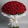 Букет 101 Красная роза Блэк Мэджик в Юровка