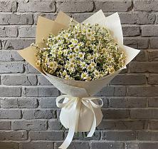 Букет цветов из:  Ромашки в Юровка
