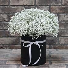 Цветочная композиция из Гипсофила в шляпной коробке #REPLACE_PRED# Юровка