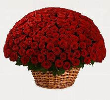 Премиум букет из: Розы в Юровка