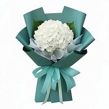 Букет цветов из:  Гортензия в Юровка